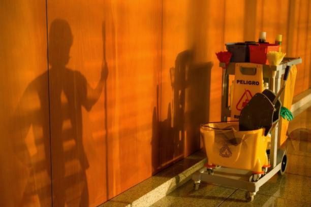 When to Clean: What, Daily, Weekly, Monthly